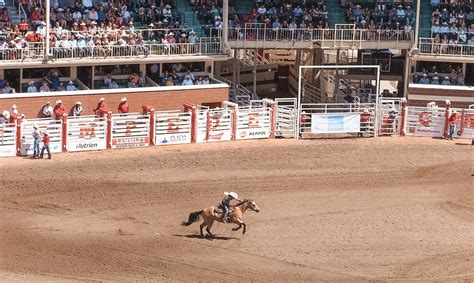 trampede calgary video|Calgary Trampede